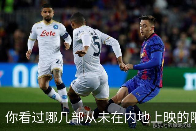 你看过哪几部从未在内地上映的限制级港片？