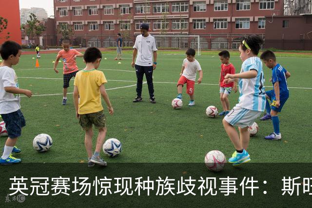 英冠赛场惊现种族歧视事件：斯旺西主帅直言必须彻查